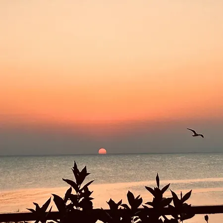 Dimora Alba Sul Mare 트라니